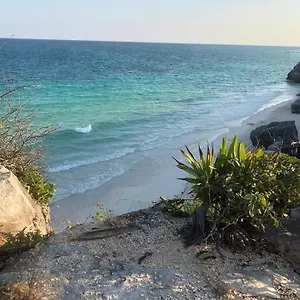 https://condo-in-resort-community.quintano-roohotels.com